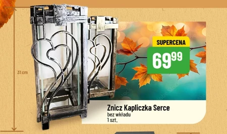 Znicz