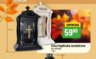 Znicz