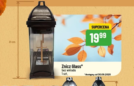 Znicz