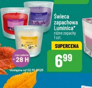 Świeca zapachowa Luminica
