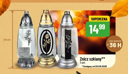 Znicz