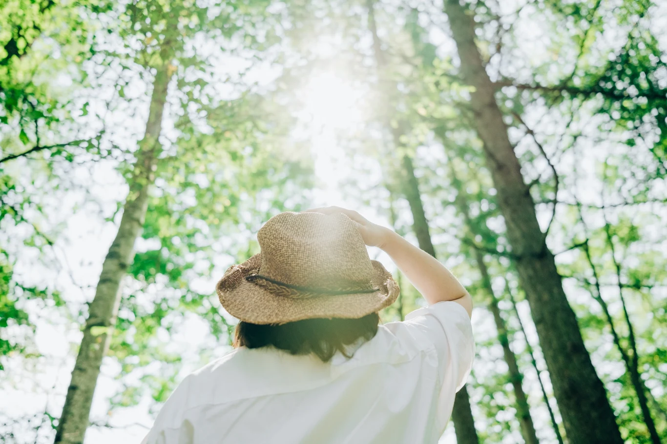 Leśna kąpiel to relaks dla ciała i duszy