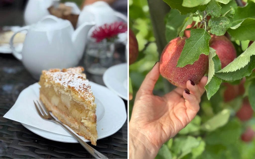 Kawałek szarlotki z widocznymi warstwami jabłek na białym talerzu i z białym dzbankiem na herbatę w tle, obok zbliżenie ręki z paznokciami pomalowanymi na ciemno trzymającej dojrzałe czerwone jabłko na drzewie.