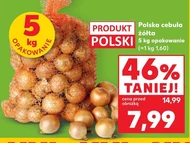 Cebula Polski