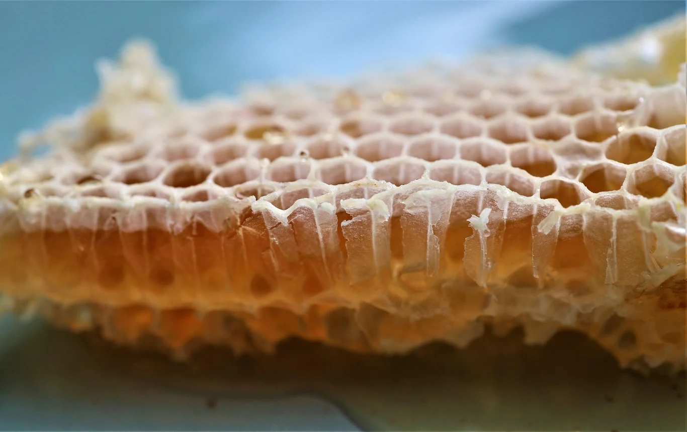 Naturalny wosk pszczeli pozyskuje się z plastrów miodu