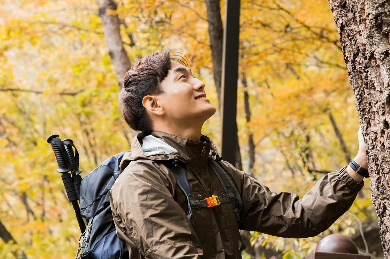 Japończycy bardzo cenią sobie kontakt z naturą