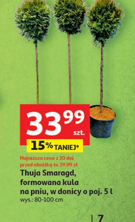 Thuja To ta!