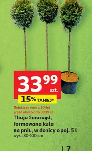 Thuja To ta!