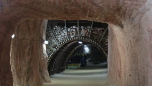 ​Nie tylko Wieliczka i nie tylko Bochnia. O mniej znanych obliczach solnej rzeczywistości Rzeczypospolitej