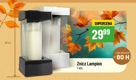 Znicz