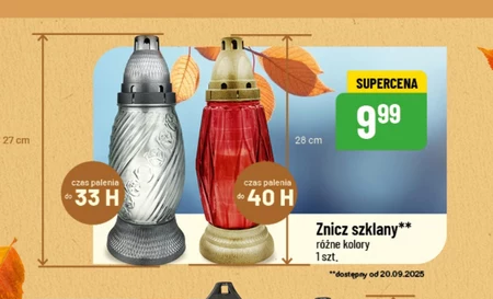 Znicz