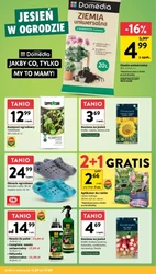Ceny WOW w Intermarche