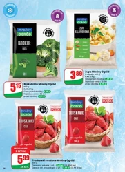 Smaki jesieni w promocji – Dino
