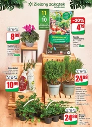Smaki jesieni w promocji – Dino
