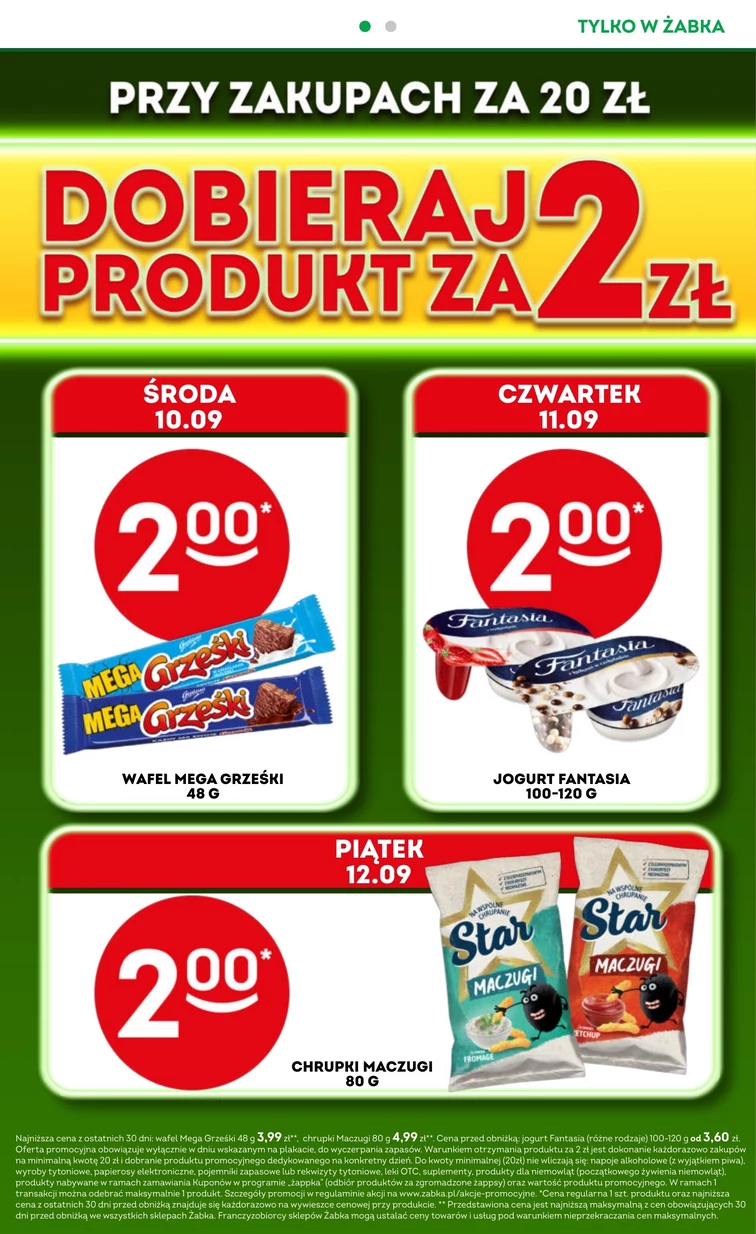 leaflet page preview image