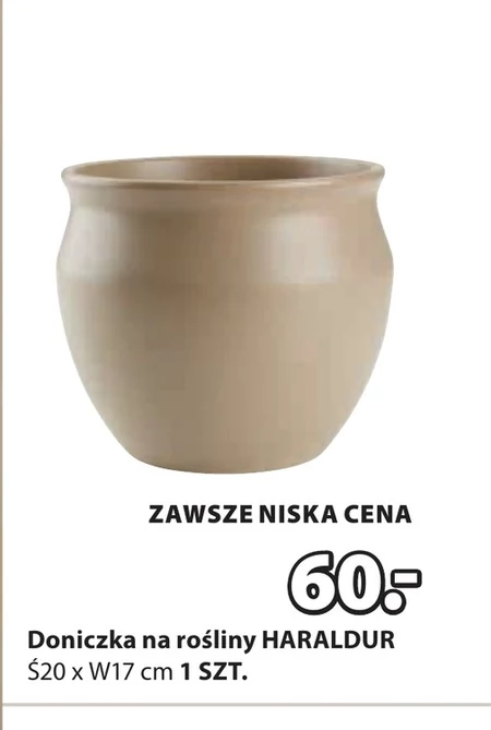 Doniczka