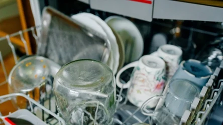 Nie możesz patrzeć na niedomyte naczynia w zmywarce? Ten problem wynika z popularnego błędu