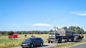 Czosnówka