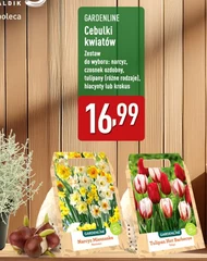 Cebulki kwiatowe Gardenline