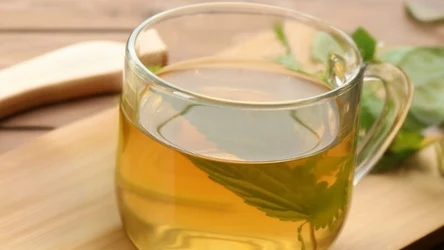 Napój na bazie pokrzywy wzmacnia odporność, poprawia urodę i redukuje stany zapalne.