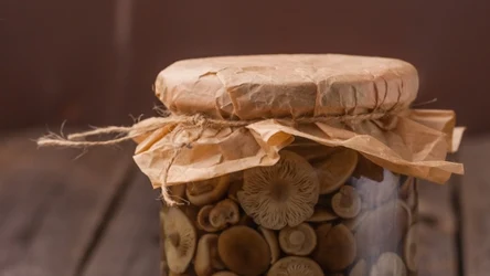 Warto mieć marynowane grzybki na ostro w spiżarni