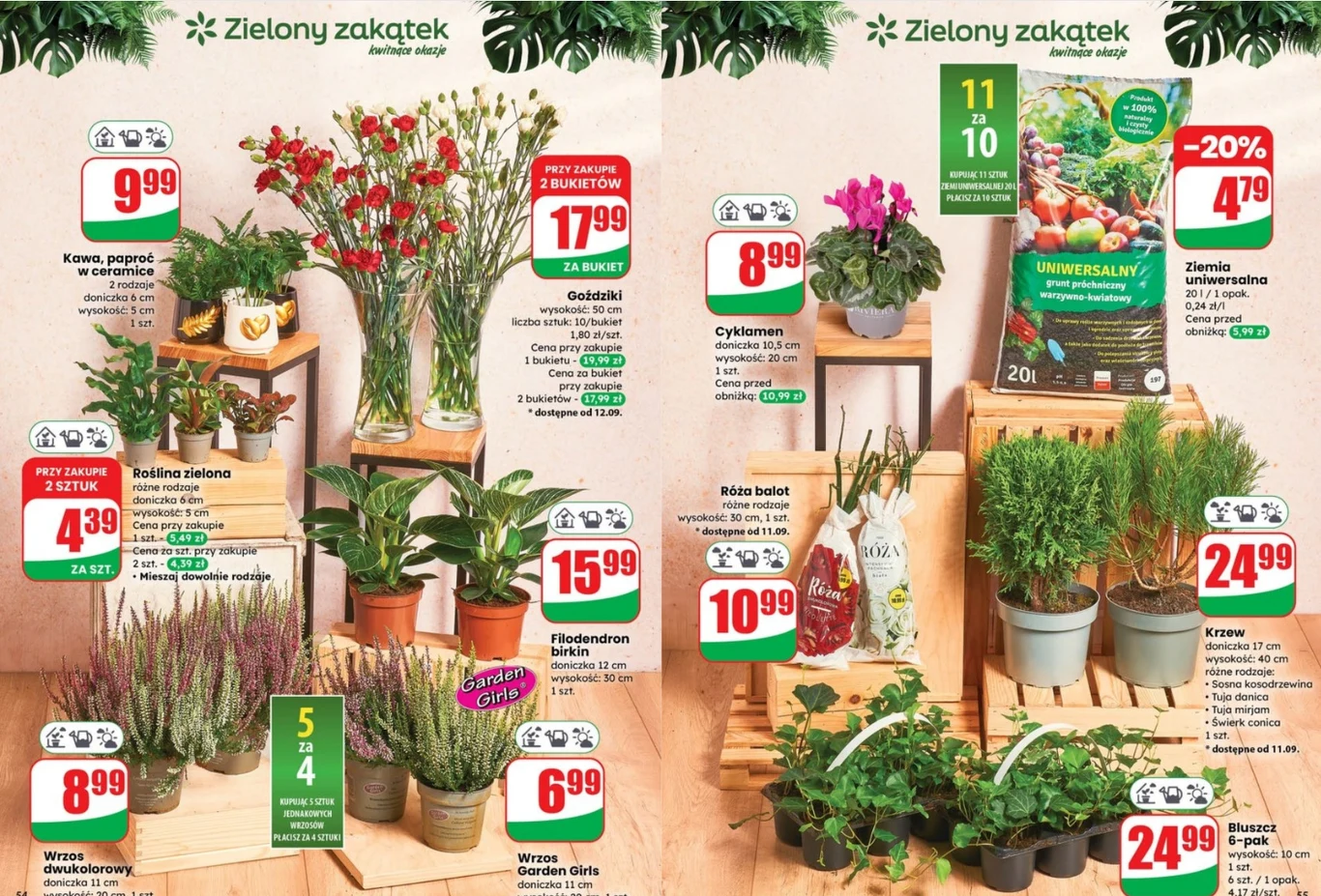 Od wrzosów po eleganckie rośliny doniczkowe