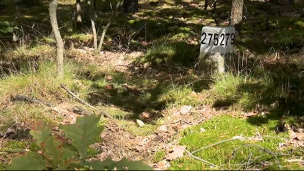 Czysta Polska - odc. 31