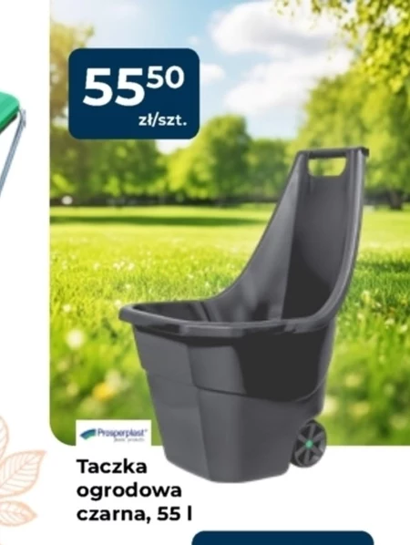 Taczka ogrodowa Prospertplast