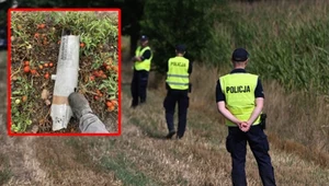 W Polsce spadły drony i rakiety. Szczątki pocisku znaleziono na polu