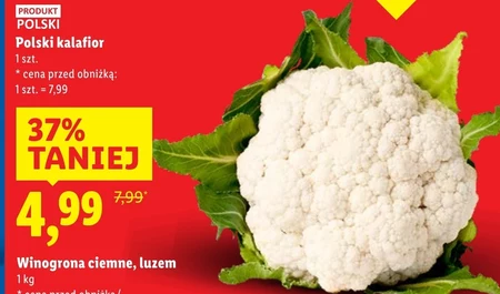 Kalafior Polski