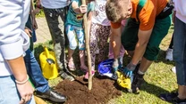 Grupa ludzi bierze udział w sadzeniu młodego drzewa, wokół ziemi rozsypane są worki z ziemią, narzędzia ogrodnicze i stojąca obok żółta konewka, osoby skupione wokół dołka wysoko unoszą sadzonkę.