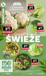 Promocje na topie w Netto!