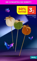 Wszystko w dobrej cenie! - Dealz