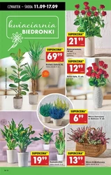 Niskie ceny od czwartku w Biedronce!