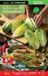 Niskie ceny od czwartku w Biedronce!