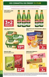Grzybobranie - Stokrotka Market