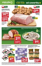 Grzybobranie - Stokrotka Market