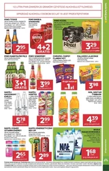 Grzybobranie - Stokrotka Market