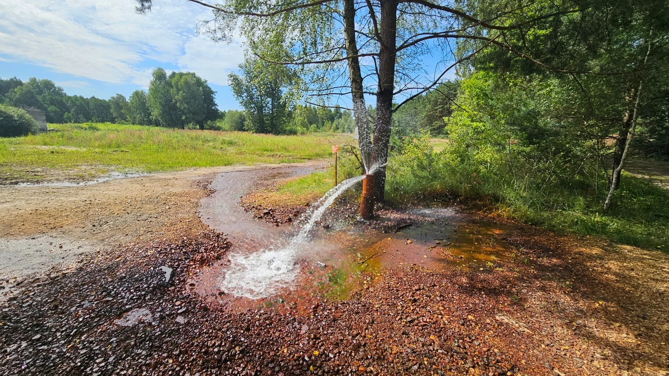 Strumień wody wypływający z pnia drzewa na leśnej polanie, otoczonej trawą i innymi drzewami, w tle widoczne niebo z lekkim zachmurzeniem.