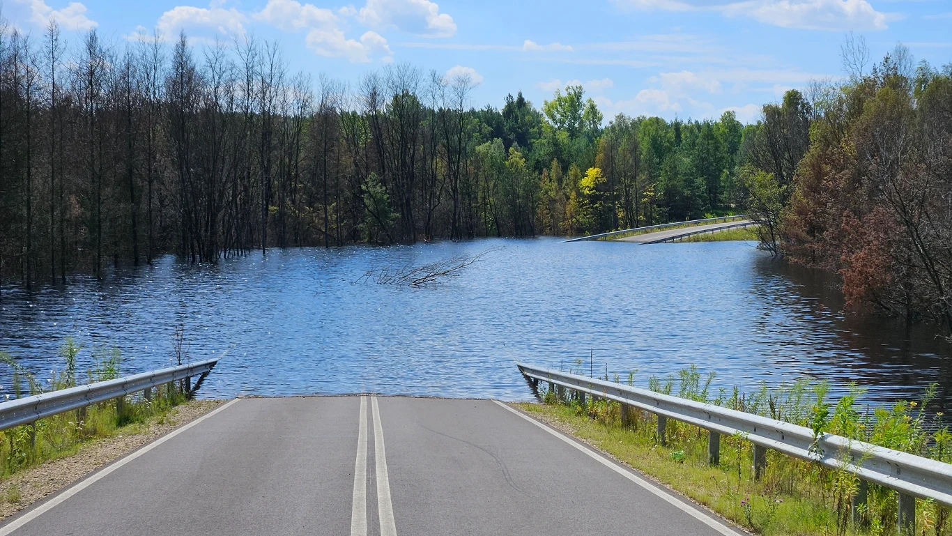Droga kończy się przy zalanej wodą powierzchni, gdzie woda rozlewa się szeroko, zalewając okoliczne drzewa i zarośla; w tle gęsty las, niebo jest częściowo zachmurzone.
