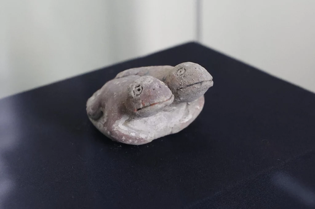 Figurka odkryta w Peru to jedno z najważniejszych nowych odkryć ze stanowiska Vichama. Dwie figurki przedstawiające żółwie ustawione na sobie, wykonane z materiału przypominającego ceramikę lub glinę, ustawione na ciemnym tle.