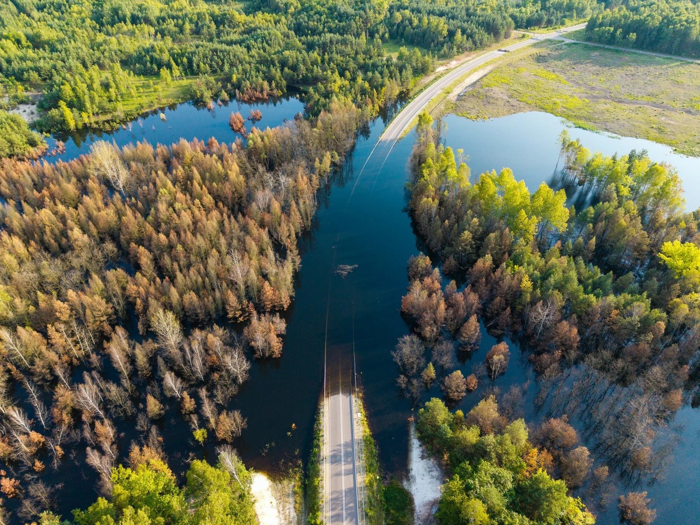 Widok z lotu ptaka na zalaną drogę przecinającą las, część drzew zanurzona w wodzie po rozległej powodzi, otoczenie stanowią gęste lasy i obszary wodne.