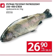 Pstrąg tęczowy