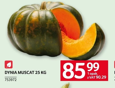 Dynia Muscat