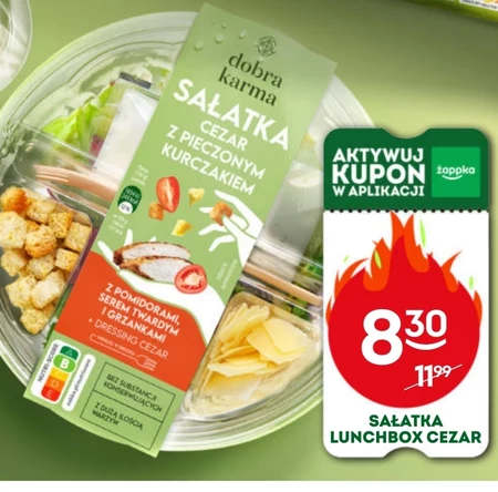 Sałatka Dobra Karma