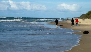 Uciążliwe zjawisko nad Bałtykiem. W tym roku to istna plaga