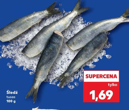Śledź
