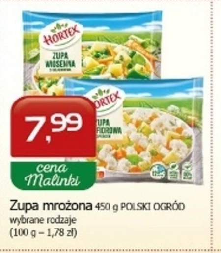 Zupa Hortex