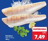 Sandacz