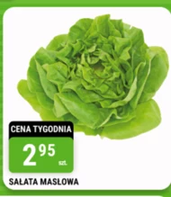 Sałata